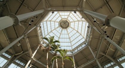 Intricate glass ceiling structure in a greenhouse showcasing modern architecture with tall palm trees.
