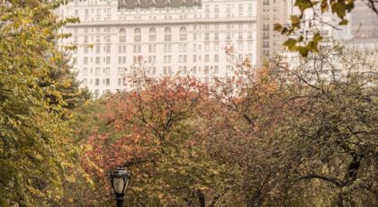 Autumn scene in Central Park with iconic New York hotel in background, misty atmosphere.