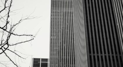 Dramatic black and white image of urban skyscrapers towering against a leafless tree.