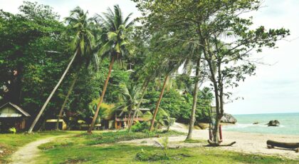 Scenic tropical beach with palm trees and villas in Ko Pha-ngan, Thailand.